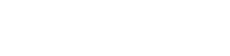 Twin Lion Chinese Restaurant - logo